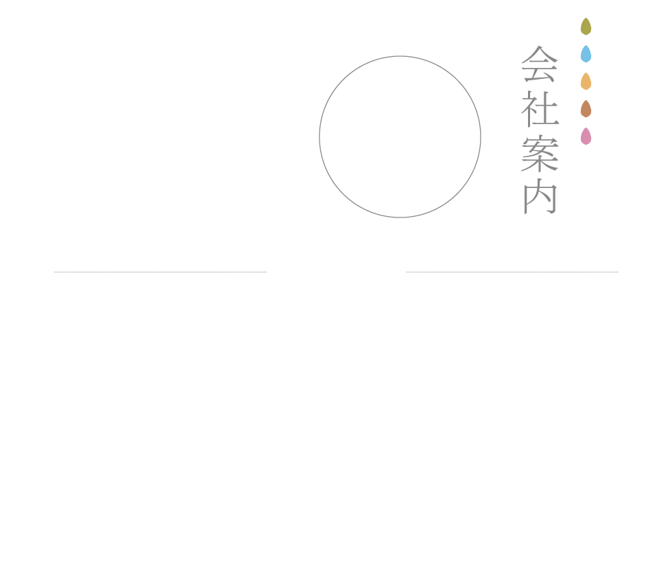 沖縄県 新築 一戸建て